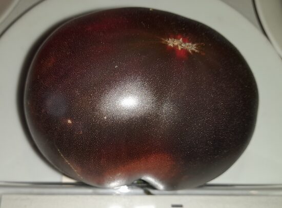 Роза Маленького Принца